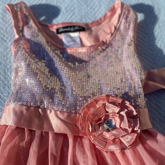 Little Girls Sequined Rose Tulle Dress - Picture 3 of 4